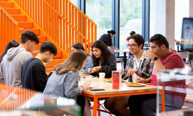 换道超车新西兰，这些宝藏大学你都知道吗？