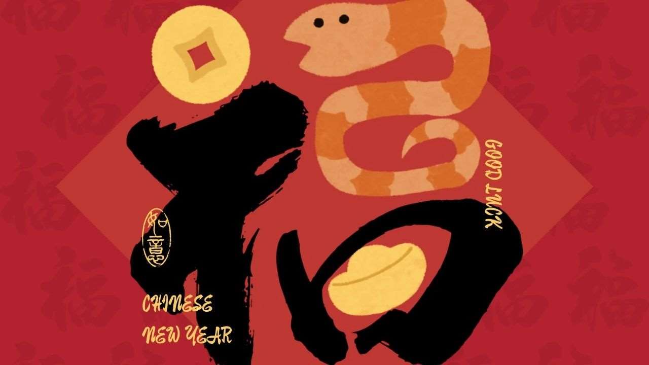 【2025蛇舞福至】泛意国际祝你蛇行千里，学业有成！